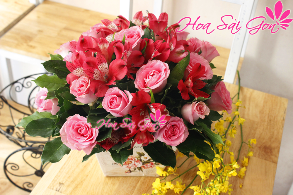 Chậu hoa tươi Dịu êm chính là sự kết hợp hài hòa của 20 đóa hoa hồng dâu cùng những đóa hoa thủy tiên đỏ