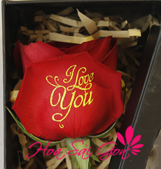 đặt hoa tình yêu