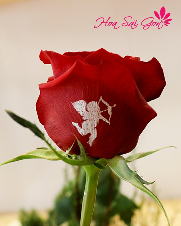 điện hoa online mang thông điệp yêu thương