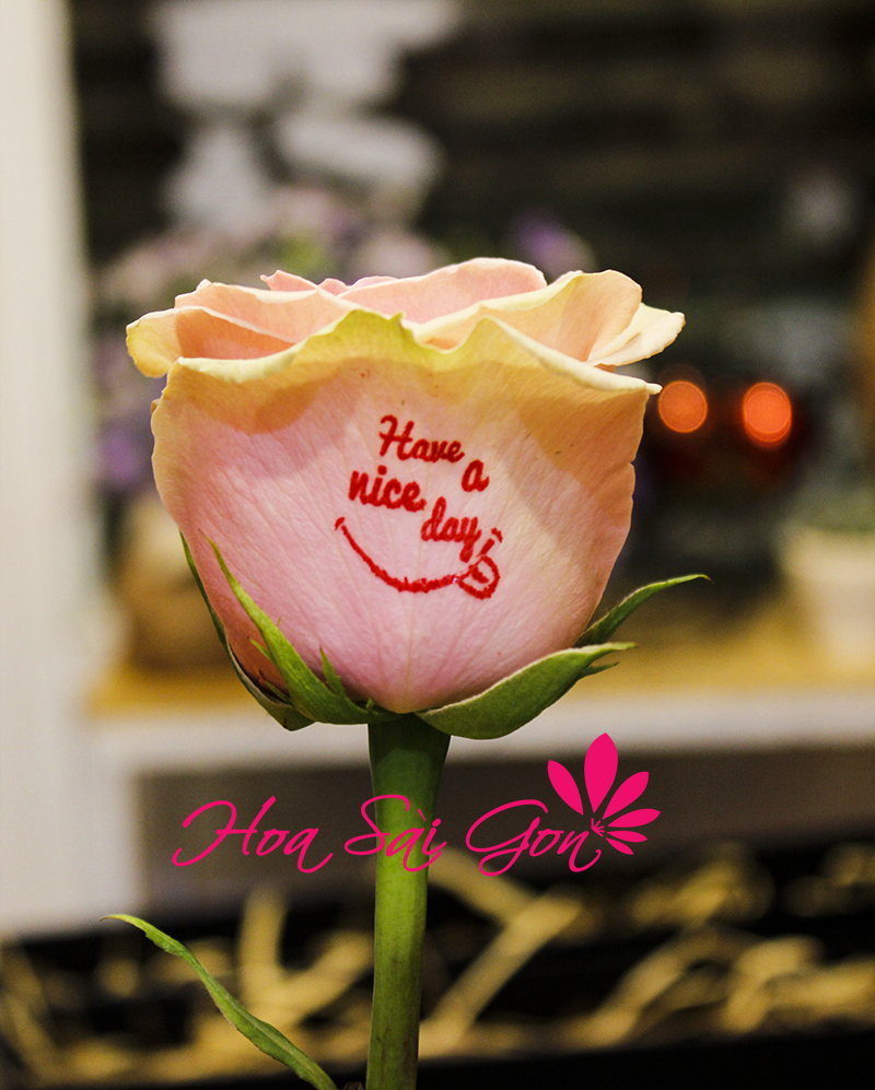 hoa tươi đẹp nói lời yêu thương