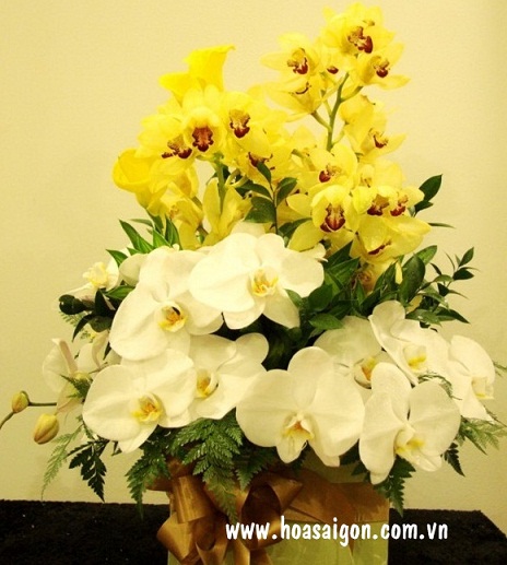 Giỏ hoa địa lan kiêu sa dành tặng cô nàng Kim Ngưu