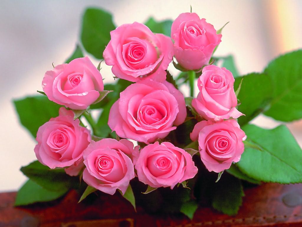 Hoa hồng sẽ thay bạn nhắn nhủ những lời nói yêu thương sâu sắc vô bờ bến mà chúng ta có thể dành tặng cho người mẹ thân yêu của mình
