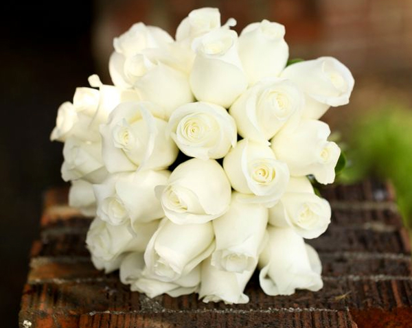 Loài hoa hồng trắng mang ý nghĩa dịu dàng như những người bạn Cự Giải