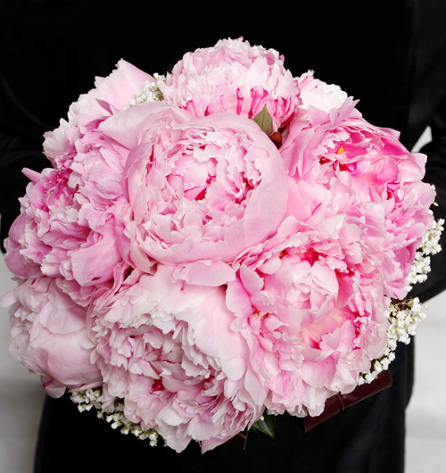 Bó hoa cẩm chướng tặng người yêu thương của mình