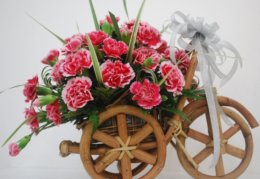 Hoa bó bằng cẩm chướng bạn gửi đến đồng nghiệp sự chân thành và kính mến