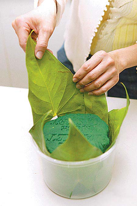 Hướng dẫn cắm hoa Hướng dẫn cắm hoa