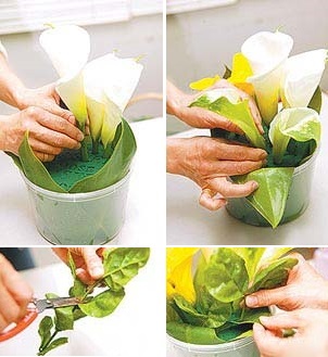 Hướng dẫn cắm hoa Hướng dẫn cắm hoa