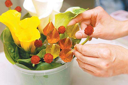 Hướng dẫn cắm hoa Hướng dẫn cắm hoa
