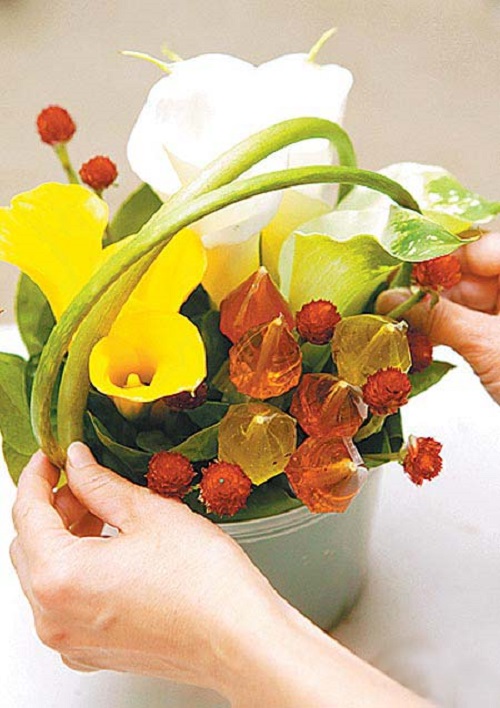 Hướng dẫn cắm hoa Hướng dẫn cắm hoa