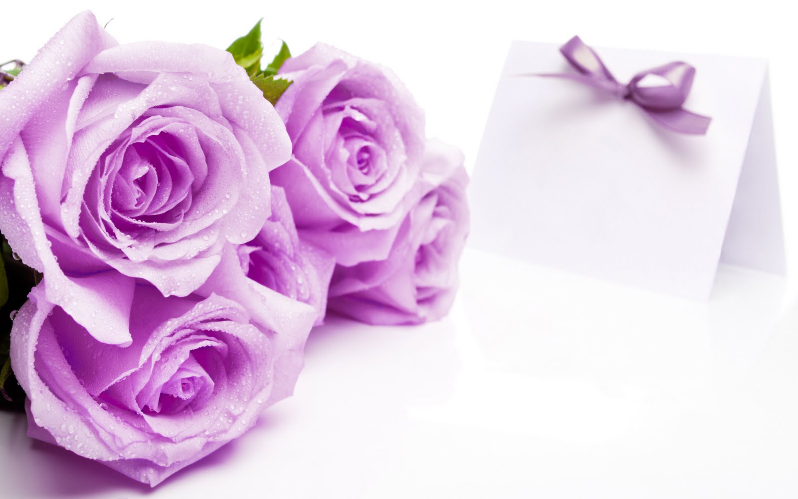 Hoa hồng tím tượng trưng cho tình yêu từ cái nhìn đầu tiên