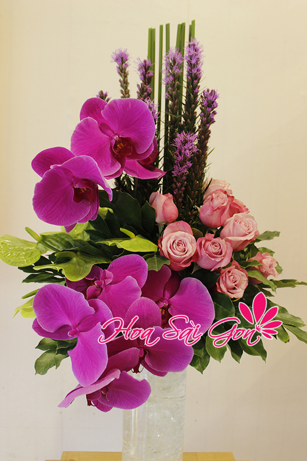 Tại Hoa Sài Gòn sẽ có rất nhiều những mẫu hoa đẹp và chất lượng dành tặng bạn