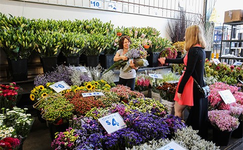 Là một trong những bí mật tuyệt vời nhất của Sydney là chợ hoa tuyệt đẹp diễn ra từ 5h sáng đến khoảng 9h