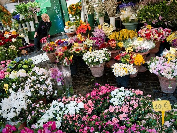 Đến với chợ hoa nơi đây sẽ tràn ngập lan Nam Phi, hoa nhài và hoa huệ 