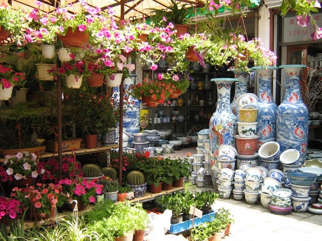 Bạn sẽ thấy một cổng vòm đầy dây leo dẫn vào chợ Caojiadu, chợ hoa lớn nhất Thượng Hải