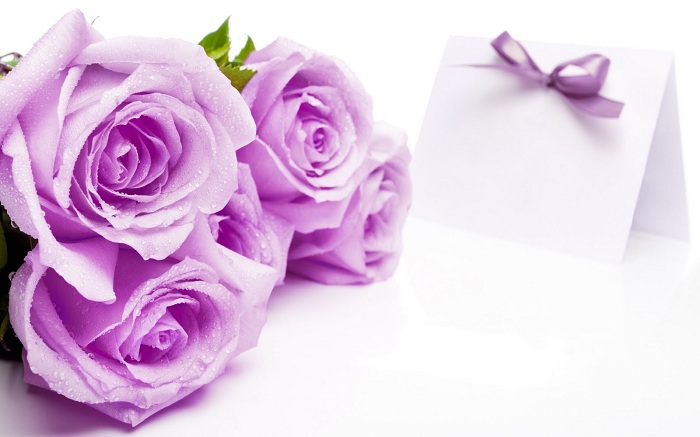Tặng hoa sinh nhật màu tím là hoa hồng
