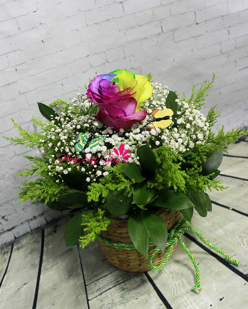 Hoa hồng cầu vồng với 7 màu sắc bắt mắt sẽ giúp bạn ghi điểm trong mắt cô ấy Hoa hồng cầu vồng với 7 màu sắc bắt mắt sẽ giúp bạn ghi điểm trong mắt cô ấy