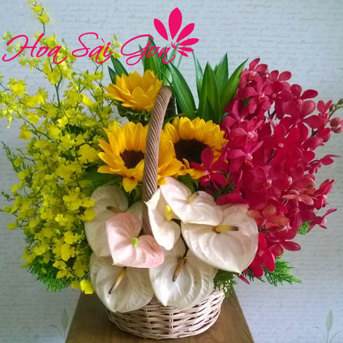 Đây là món quà sinh nhật ý nghĩa và yêu thương Đây là món quà sinh nhật ý nghĩa và yêu thương