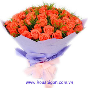 Ý nghĩa hoa hồng cam Ý nghĩa hoa hồng cam