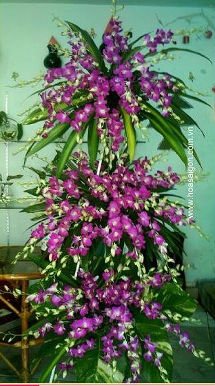 http://www.hoasaigon.com.vn/kcfinder/upload/images/hoa-chia-buon-ht31.jpg