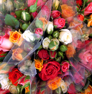 Tặng hoa sinh nhật theo màu sắc hoa hồng