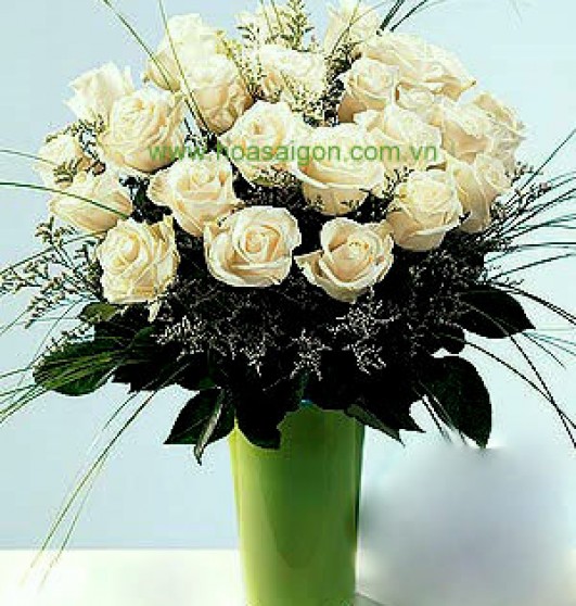 Hoa xin lỗi AU40 Hoa xin lỗi AU40