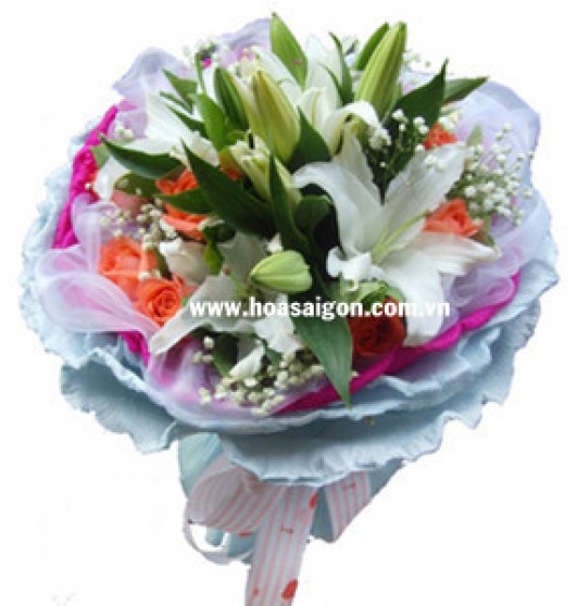 Hoa xin lỗi HB75 Hoa xin lỗi HB75