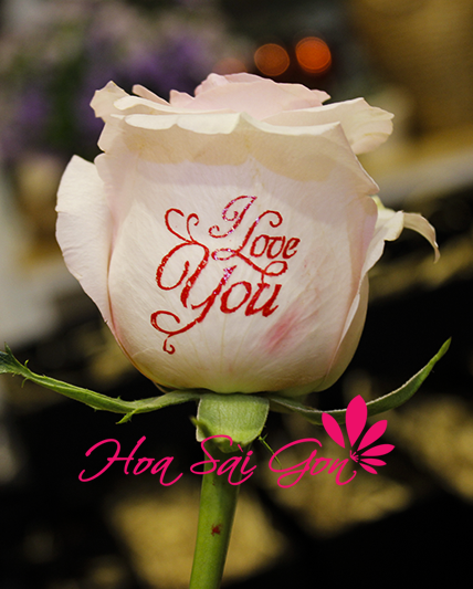 Đóa hoa với câu nói “Love You” chính là món quà nhắn nhủ cho tình yêu nồng nàn và sâu sắc 