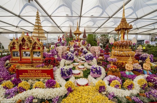 Lễ hội hoa “Chelsea flower show” tại thành phố Chelsea nước Anh