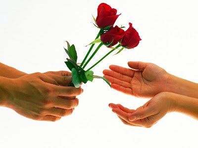 Hoa hồng tượng trưng cho tình cảm yêu mến, trân trọng, có cả tình yêu, phù hợp với cả tình bạn…