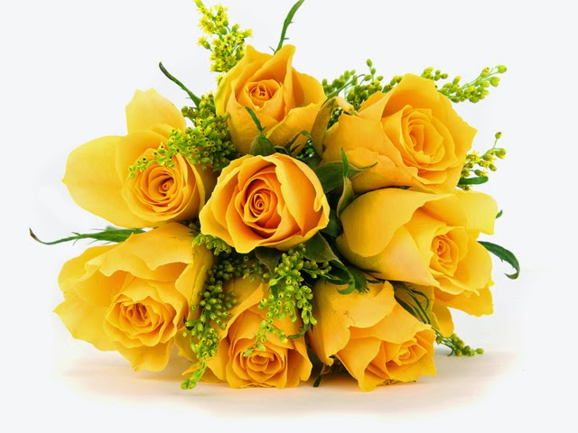 Hoa hồng vàng dành tặng cho một cô nàng đầy năng lượng, nhiệt huyết, ước mơ và hoài bão