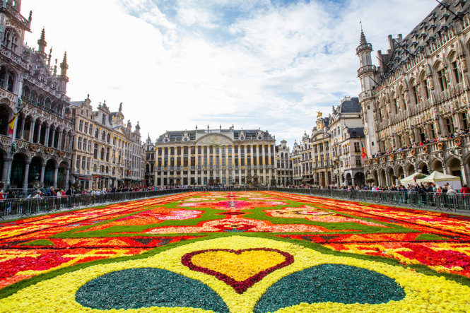 Thảm hoa tại lễ hội hoa ở Brussels năm 2014