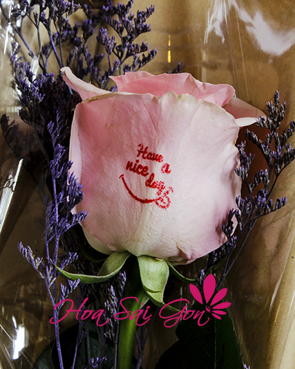 Có rất nhiều thông điệp yêu thương được in trên mỗi đóa hoa hồng Ecuador