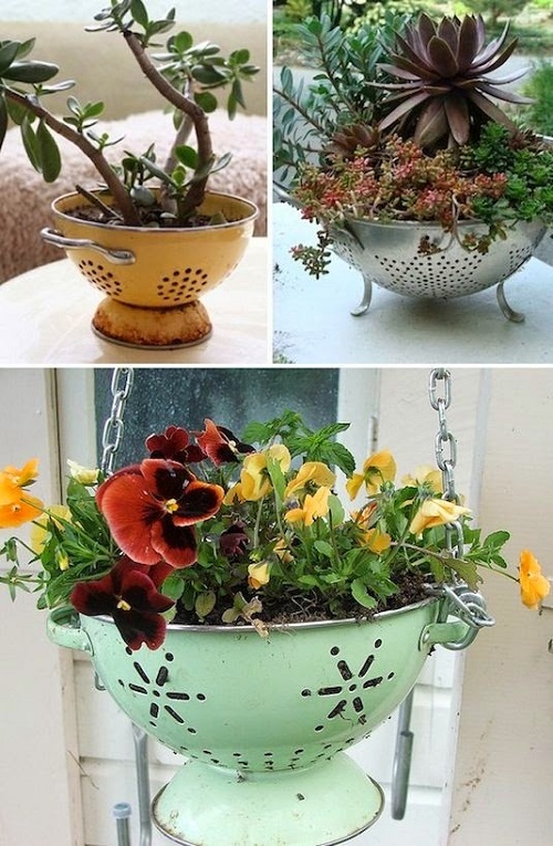Sáng tạo nên vườn hoa xinh lung linh từ những vật dụng tái chế