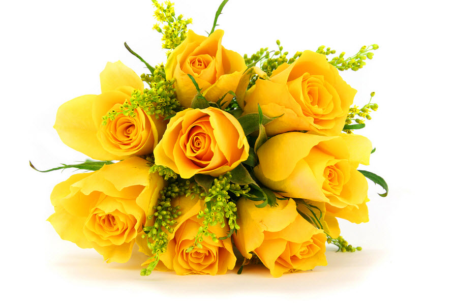 Bạn có biết hoa hồng vàng tượng trưng cho ý nghĩa gì không?