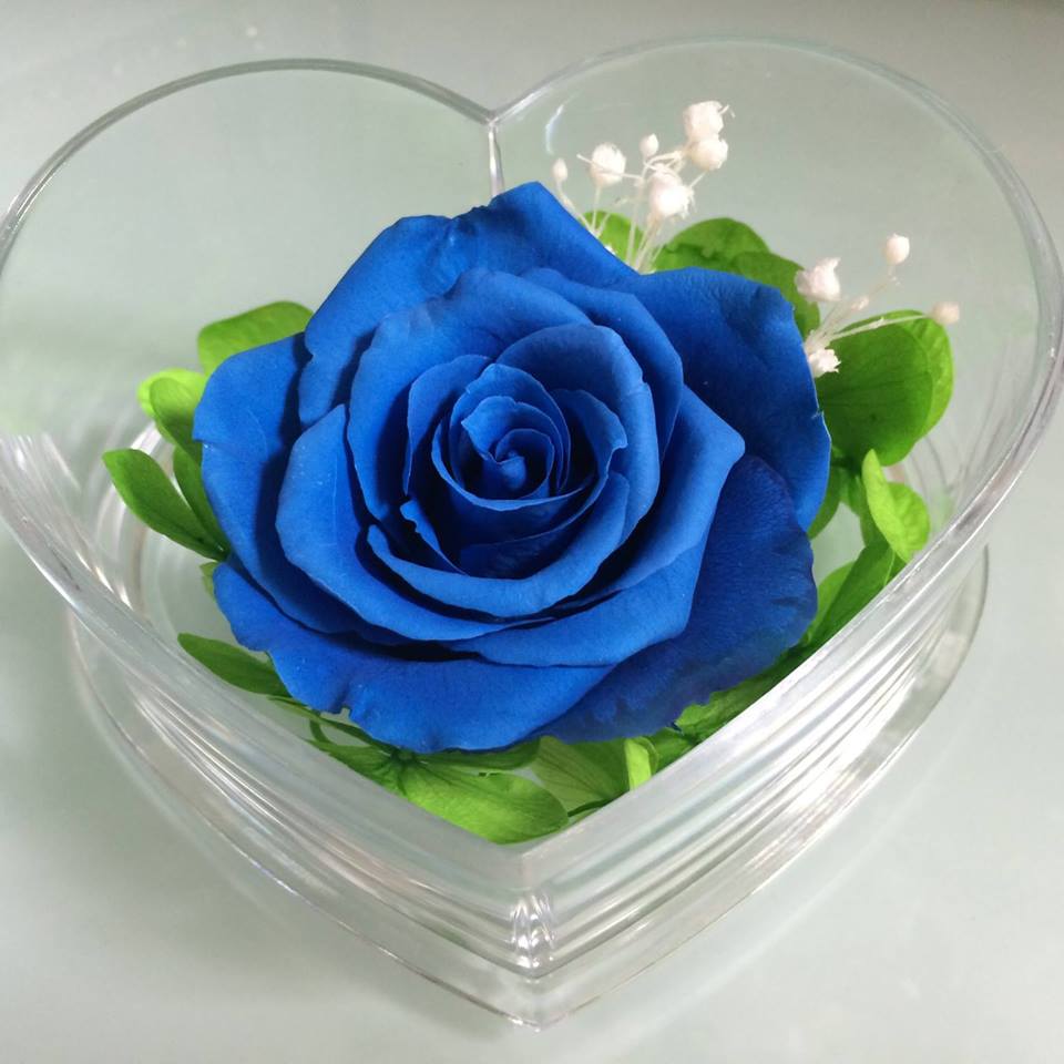 Tặng hoa sinh nhật blue color tăng thêm ý nghĩa gì? | HOA TƯƠI VŨNG TÀU ...