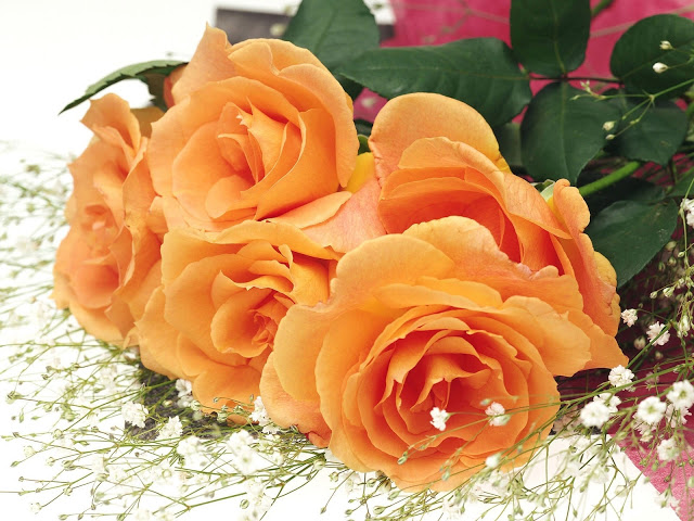 Bông hồng tặng sinh nhật màu cam