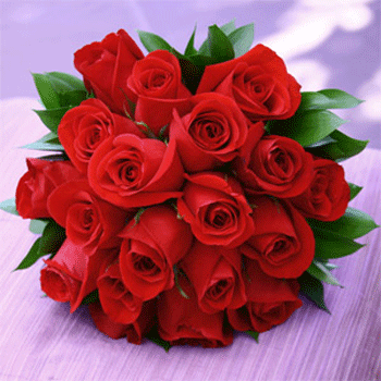 Hoa hồng được ví như nữ hoàng của các loài hoa, hoa hồng chính là loài hoa được ưa chuộng nhất trên thế giới