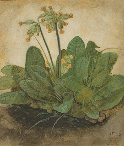 Tác phẩm Tuft of Cowslips Tác phẩm Tuft of Cowslips