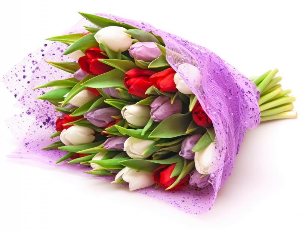 Bó hoa tulip tặng người yêu