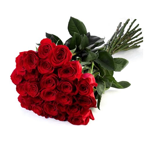 Có thể tặng cho cô bạn thân một bó hoa hồng đỏ chưa qua cắt tỉa để thể hiện sự chân thành