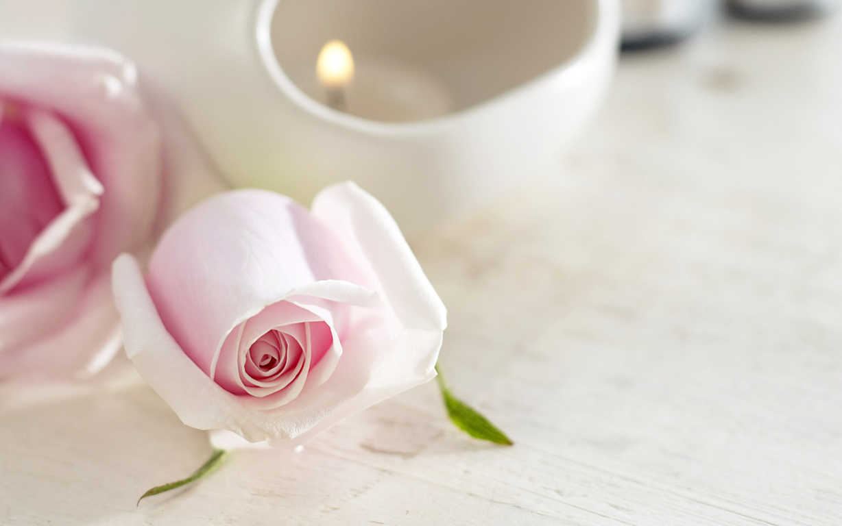 Hoa hồng da thoạt nhìn sẽ mang lại một ý nghĩa chân thành và tình yêu say đắm cùng vẻ đẹp ngọt ngào