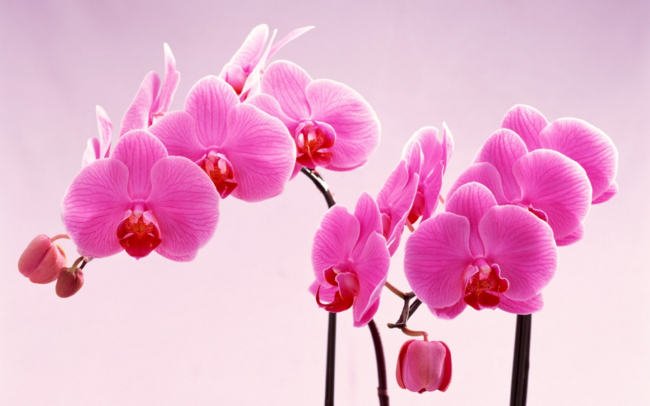 Thầm kể lể về sát nghiệp trong đời thường_ Lm. Thượng