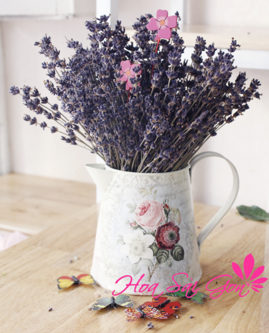 Hoa Lavender LD14