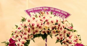 Đặt lẵng hoa chia buồn tại thành phố Hồ Chí Minh