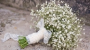 Hoa Baby trắng - hoa của tình yêu thơ ngây