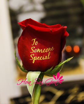 Speking Roses To Someone Special - S26