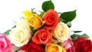 Hoa hồng – loài hoa sinh nhật cho các cô nàng tháng 6