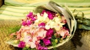 Tặng hoa gì vào ngày nhà giáo Việt Nam?