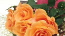Ý nghĩa hoa hồng cam trong ngày sinh nhật
