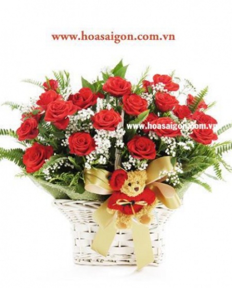 Yêu thương chân thành HG99